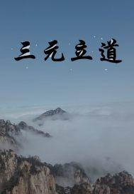 三元立向法图解