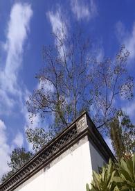 一念之间by苏特